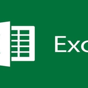 Excel Basics